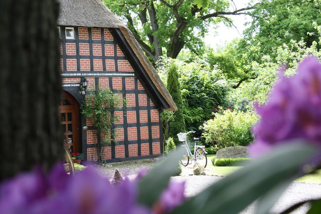 Ostehof Weertzen Villa Exterior photo